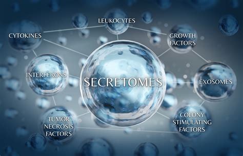 Technology - Dermoaroma