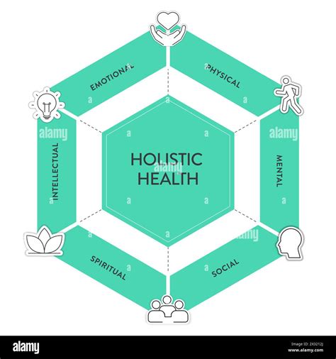 Holistic Health framework infographic diagram chart illustration banner ...