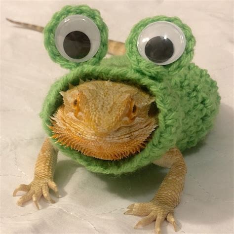 Crocheted Adult Pumpkin Bearded Dragon Costume Bearded - Etsy