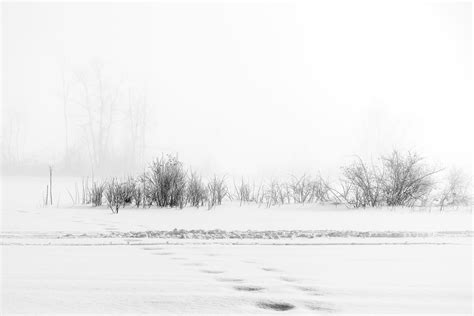 2_Fading-Impressions_2018_Photograph_20x30inches_Editionsof10 | Shira ...