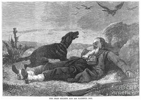 Soldier & Dog Photograph by Granger - Fine Art America