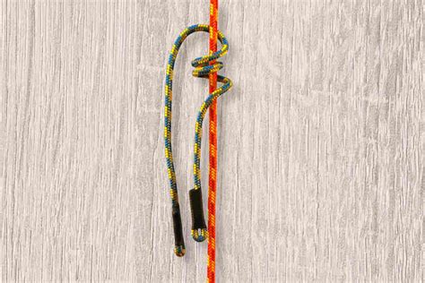 Distel - Friction Hitches - Arbtalk | The Social Network For Arborists