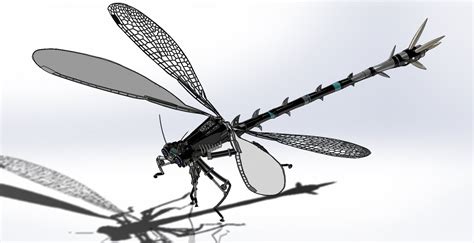 Robotic Dragonfly