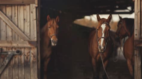 Professional Training Slider Template - Slider Revolution