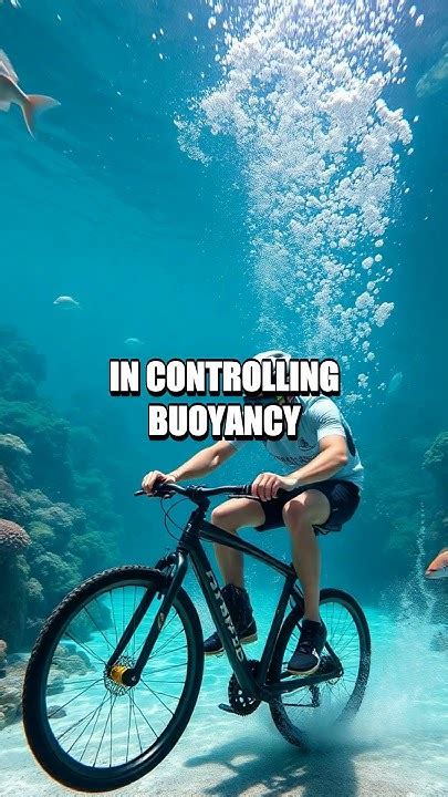 The Longest Underwater Cycling Journey: A Subaquatic Adventure - YouTube