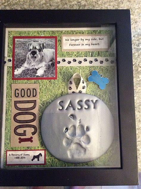 Shadow box in memory of my Sassy Girl. Schnauzers are the best dogs ...