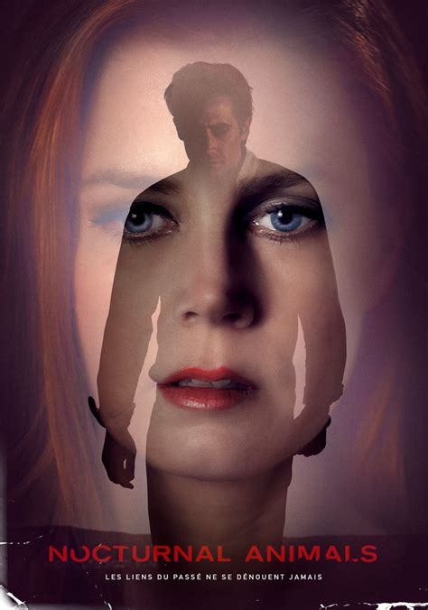 Regarder Animaux nocturnes en streaming complet
