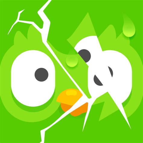 Duolingo: Language Lessons – Apps on Google Play