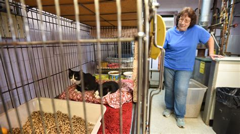 Englewood NJ animal shelter START II searching for volunteers