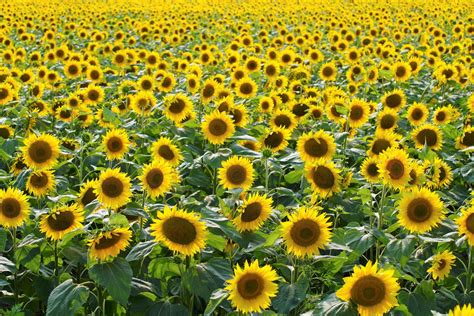 Привет! | https://18.ukdevilz.com/watch/447678636_456240902 | Facebook