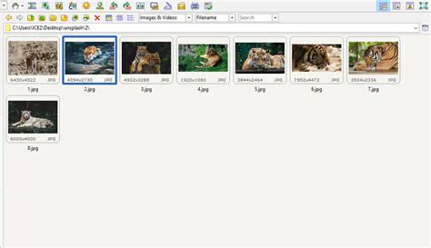 15 программ для просмотра фото на Windows - Icecream Apps