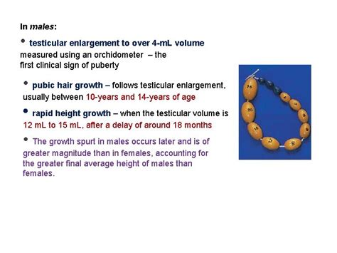 Growth and puberty Dr Nawar Pharaon AlSham Private
