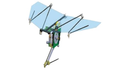 A Rundown of Bio-Inspired Jumping Robots | RealClearScience