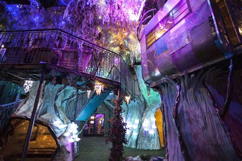 Documentary and New Locations for Meow Wolf - ArtBeat