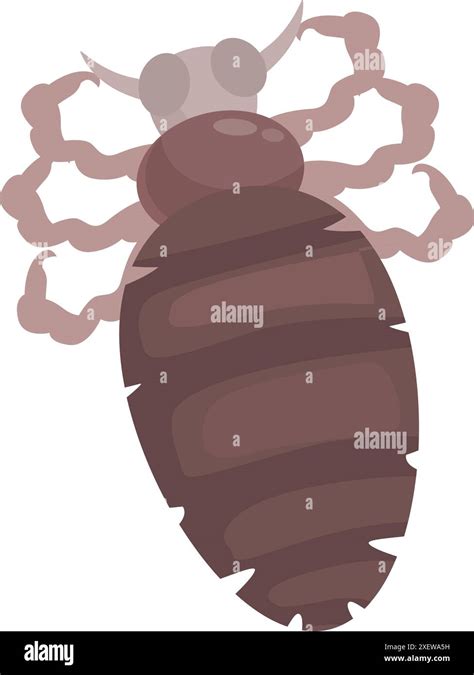 Insecte pou propageant l'infection par succion de sang sur la peau ...