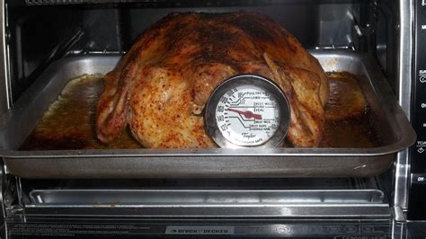 Whole Chicken Cooked in the Toaster Oven