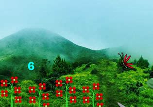 Green Mountain Valley Escape - Escape Fan