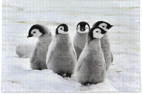 1000pieces Jigsaw Puzzles, 29.5