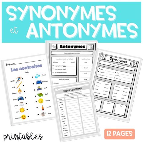 Contraire Antonyme Synonyme Activités
