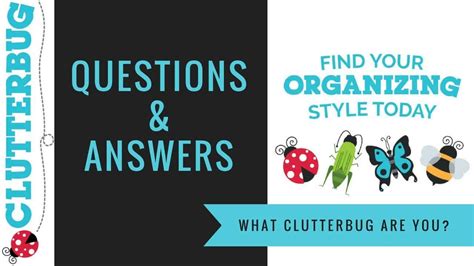 What ClutterBug Are You? Home Organizing Q&A - Clutterbug