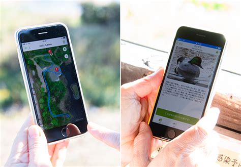 Suntory | Sustainability | Sustainability Stories | Suntory Bird ...