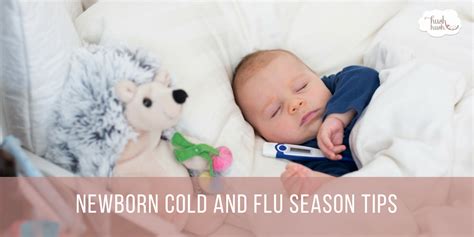 Newborn Cold and Flu Season Tips - Hush Little Baby Newborn Care - Baby ...