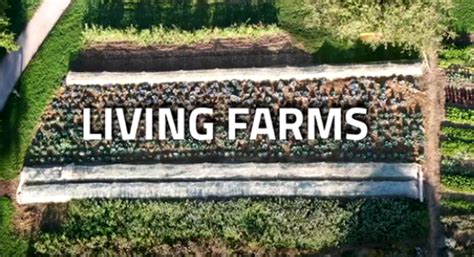 Living Biodynamic Farms study project launched - Biodynamic Association