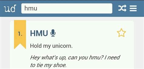 The urban dictionary definition of hmu is hold my unicorn... | Urban ...