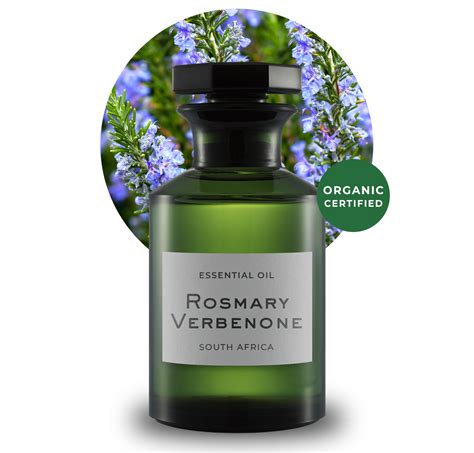 Rosemary verbenone EO Organic