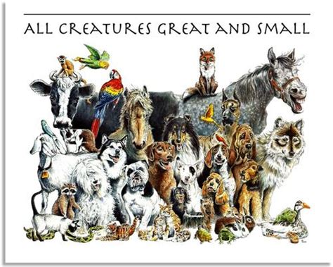 Creature - definition and meaning with pictures | Picture Dictionary ...