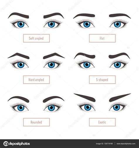 Types de forme de sourcil. Un classique. Illustration vectorielle des ...