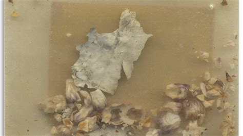 Artifacts from 1986 Challenger disaster up for auction | Fox News