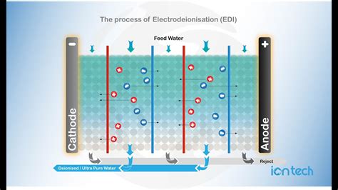 The process of Electro Deionisation EDI Iontech Animated