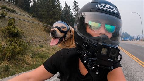 Riding Motorcycle with your Dog | Let the Adventures Beginn