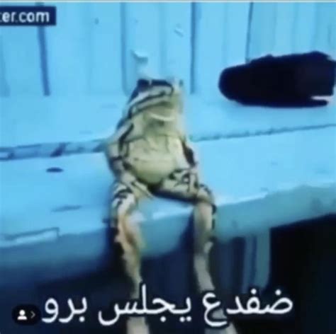 [Arabic? -> English] Meme my friends send : r/translator