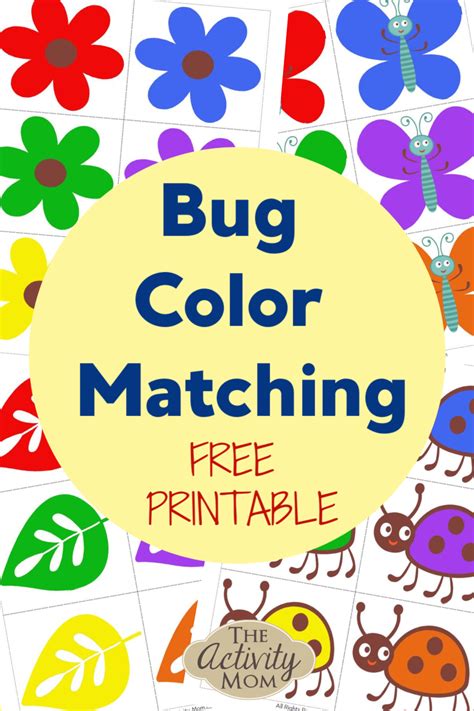 Color Matching Bugs - The Activity Mom