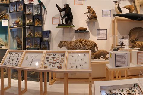 Bolton Museum – Bolton Libraries and Museums