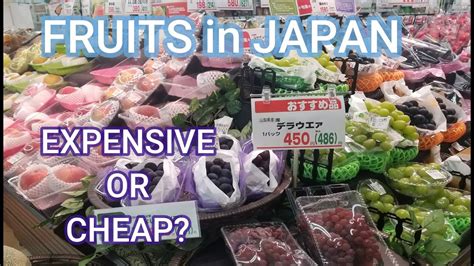 THE COST OF FRUITS IN JAPAN'S SUPERMARKET | Expensive Fruits in Japan | Expensive Japanese Fruits