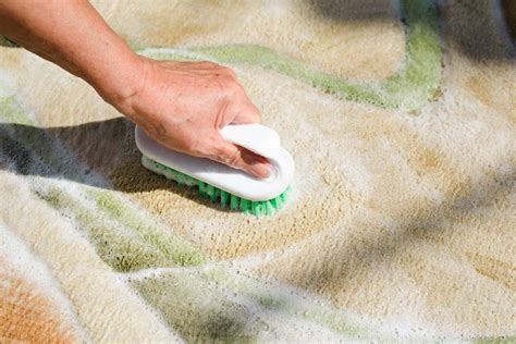 Best Method To Clean Carpets at Jason Halfacre blog