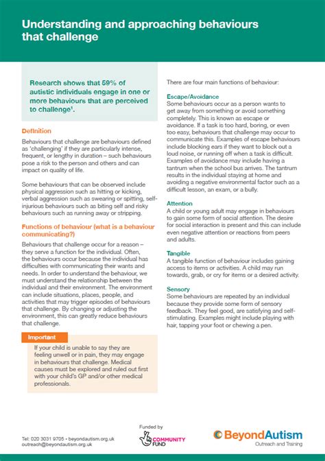 Understanding and approaching behaviours that challenge - BeyondAutism
