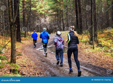 A Sports Family on a Morning Run in the Forest after the Rain ...