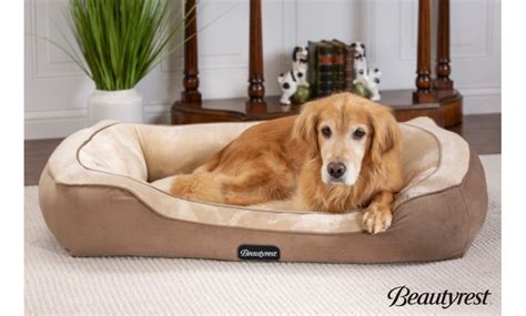 Beautyrest Cozy Cuddler Dog Bed | Groupon