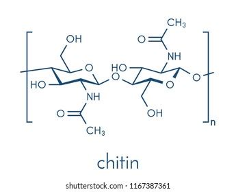 Chitin : 12 267 images, photos et images vectorielles de stock ...