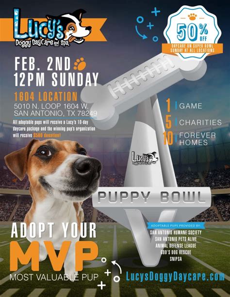 Lucy's Doggy Daycare & Spa Puppy Bowl 2020 - Lucy's Doggy Daycare