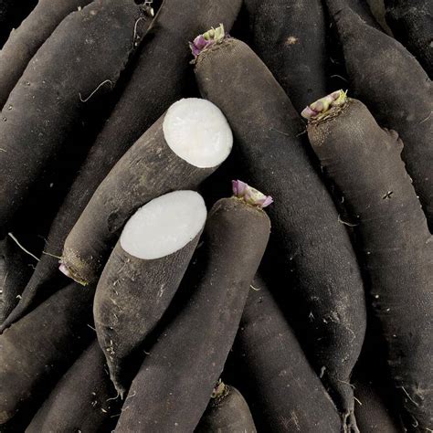 Le Radis noir - Mon Marché