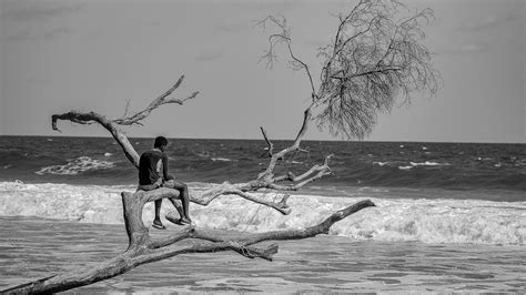 Beach Tree Boy - Free photo on Pixabay - Pixabay