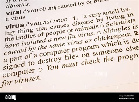Virale und virale Wörter Bedeutung und Definitionstext im englischen ...