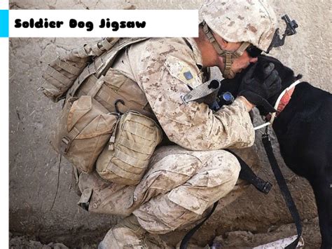 Soldier Dog Jigsaw - Loli Games