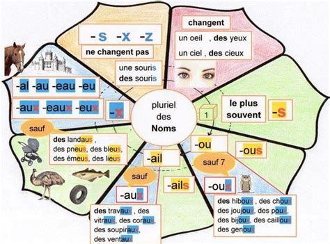 Rappel grammatical: formation du féminin, formation des pluriels ...