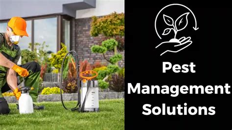 Top 8 AI Applications in Agriculture 2025: Harvesting Efficiency